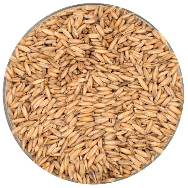 MCM Oat Malt