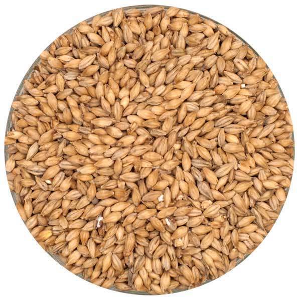 Rahr Pilsner Malt