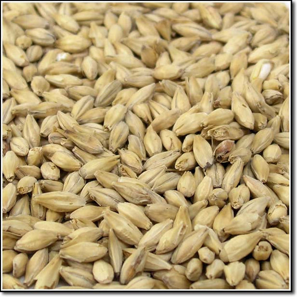 Weyermann® Pale Ale Malt