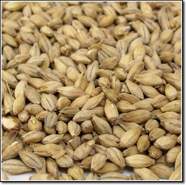 Close-up of Dingemans Pilsen Malt