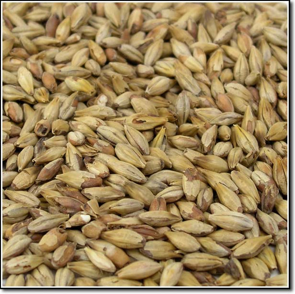 Close-up of Dingemans Biscuit® Malt