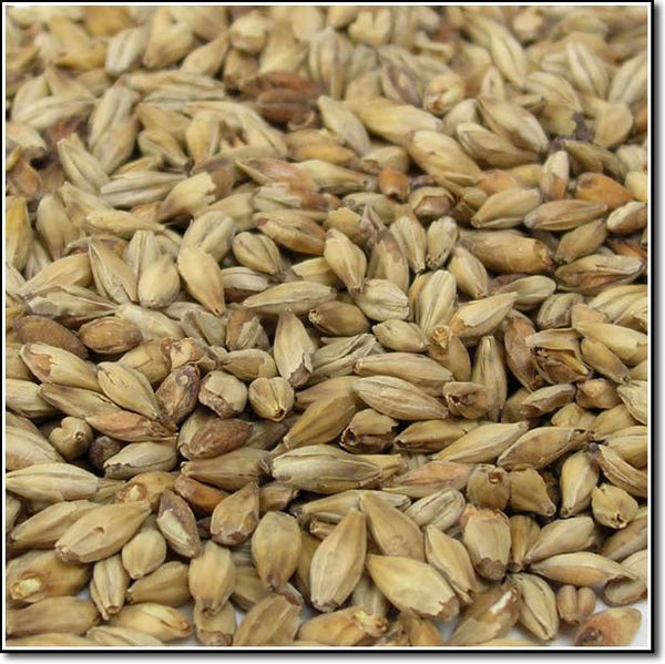 Close-up of Dingemans Aromatic Malt