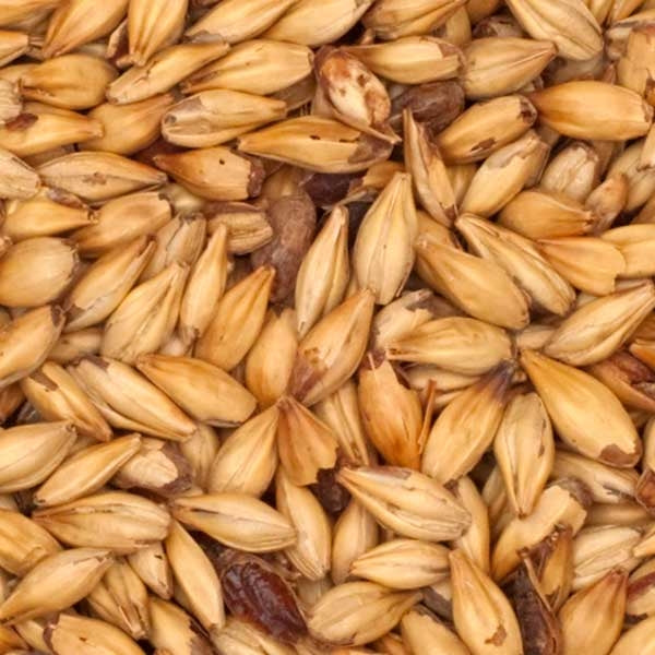 Close-up view of Best Malz Red X® Malt