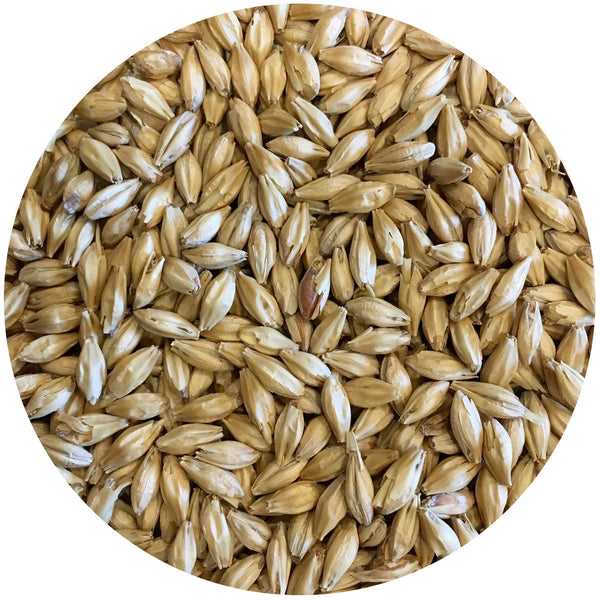 Detail-view of Mecca Grade Lamonta Malt