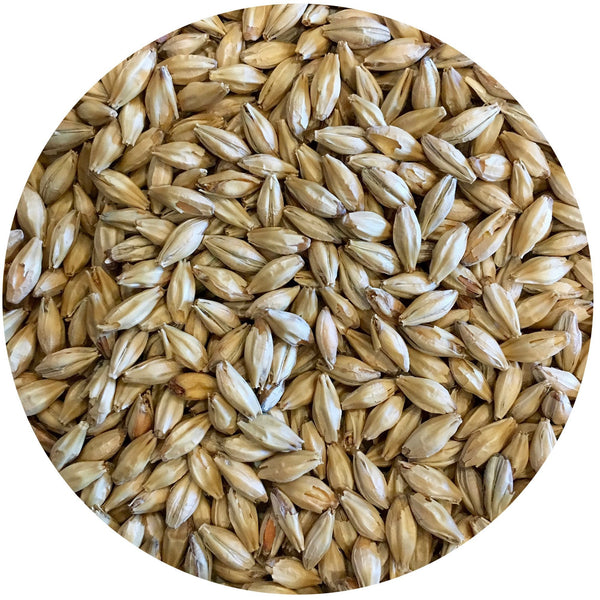 Detail view of Mecca Grade Vanora Malt