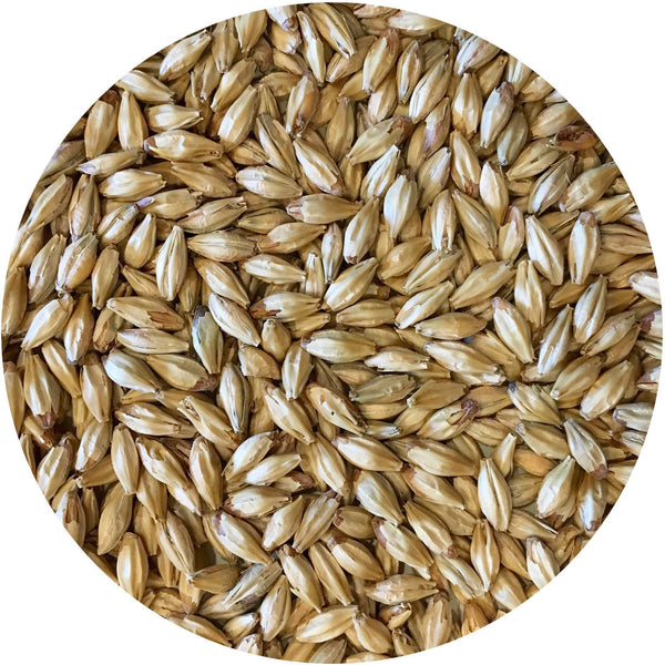 Detail-view of Mecca Grade Metolius Malt