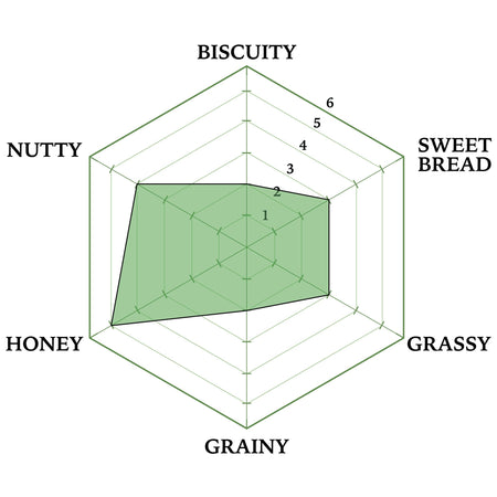 North Star Pils flavor spider graph