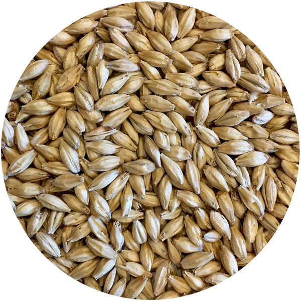 Close-up of Mecca Grade Gateway wind-malt