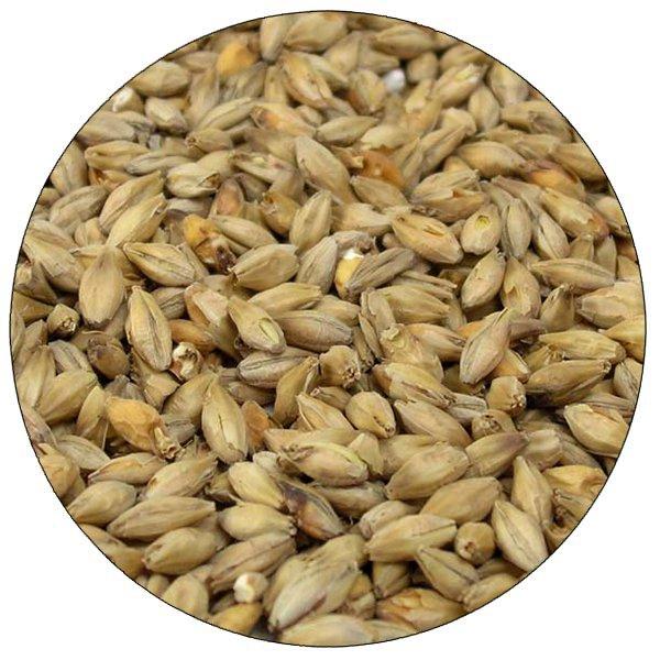 Detail view of the Best Malz German Munich malt