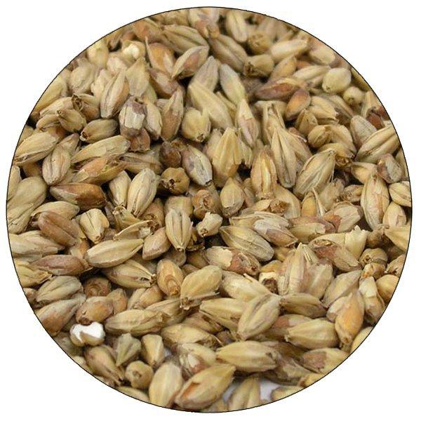 Detail view of Briess Bonlander® Munich Malt