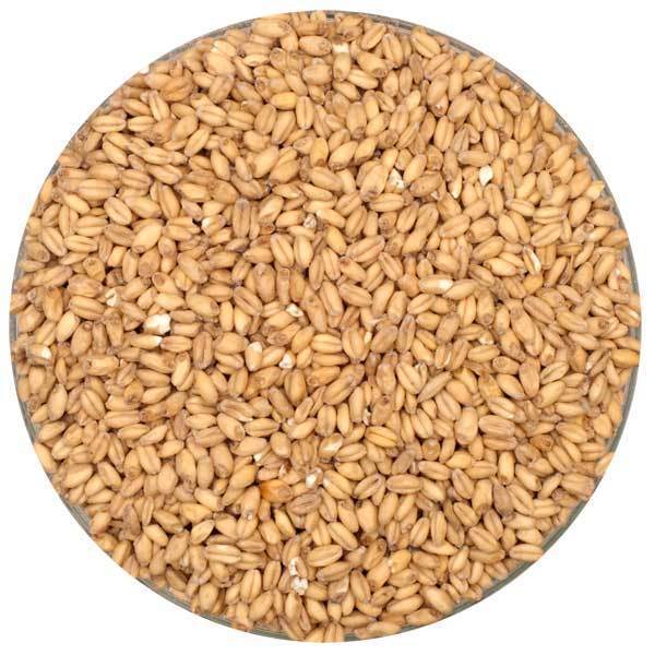 Canada Malting Wheat Malt